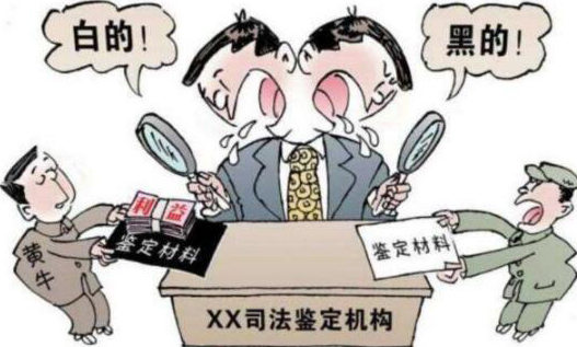 最高人民法院关于民事诉讼证据的若干规定